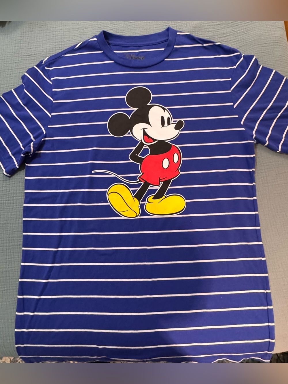 Disney brand Mickey Mouse Blue & White Striped Graphic Tee
